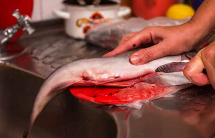 About Deba Bocho - A Knife for Handling Seafood