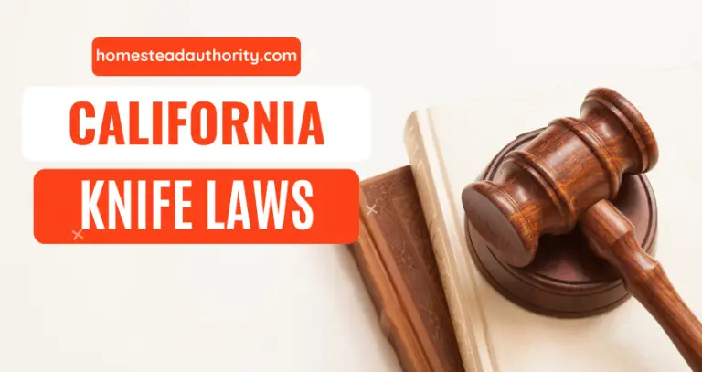 California Knife Laws: Everything There Is To Know
