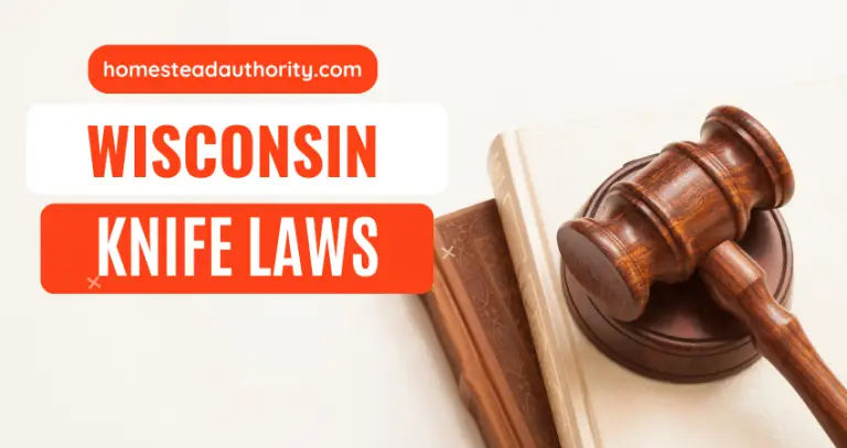 Wisconsin Knife Laws: Everything You Need To Know About