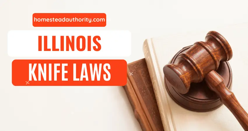 Illinois Knife Laws