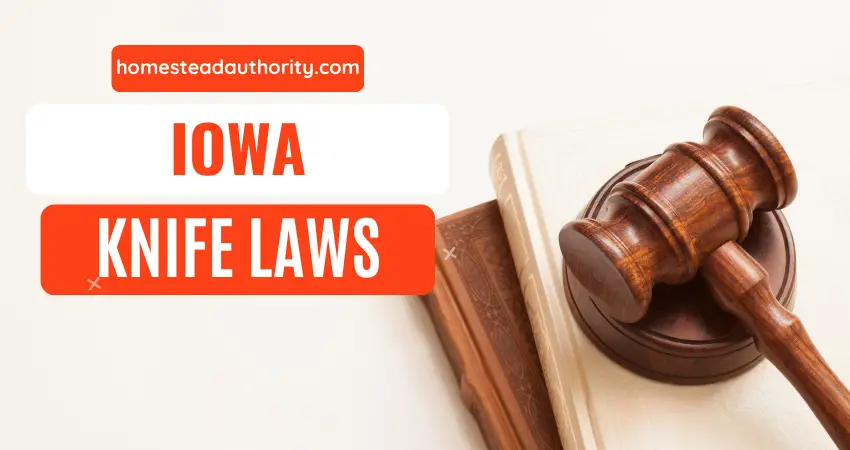 Iowa Knife Laws