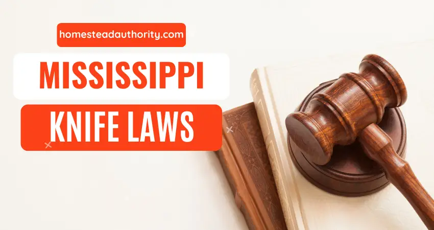 Mississippi Knife Laws