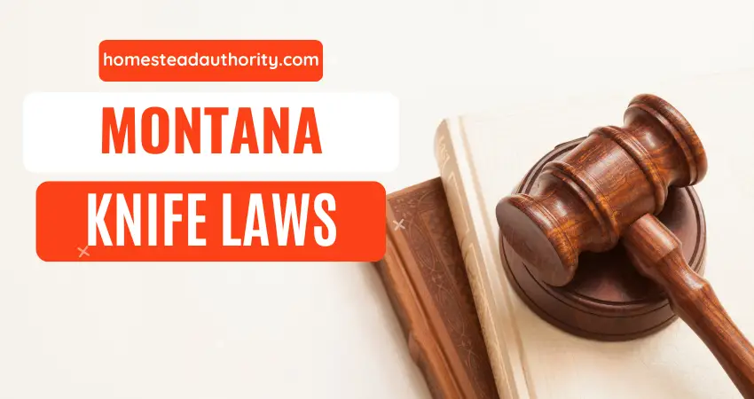 Montana Knife Laws