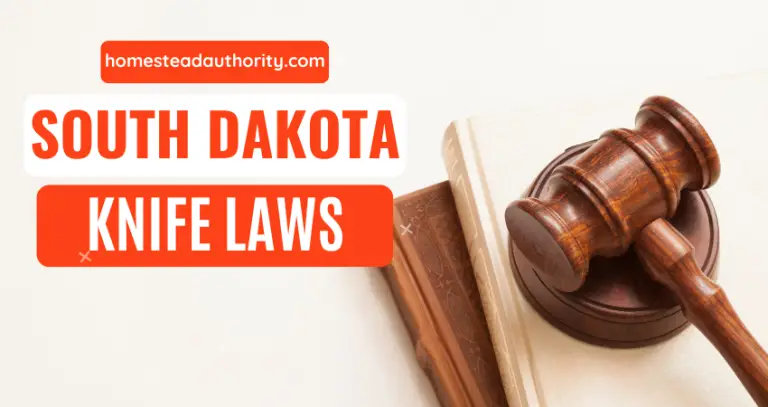 Understanding South Dakota’s Knife Laws: What You Need to Know
