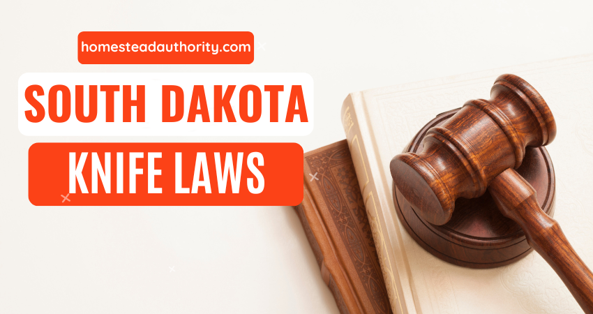 South Dakota Knife Laws