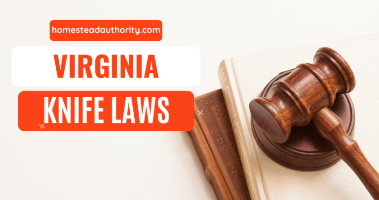 Virginia Knife Law 101: Everything You Need to Know