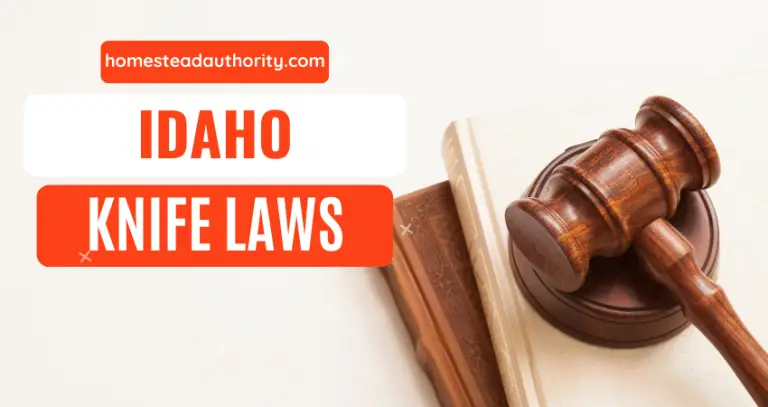Idaho Knife Law Made Simple: What You Need to Know