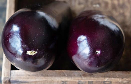 Male or Female Eggplant