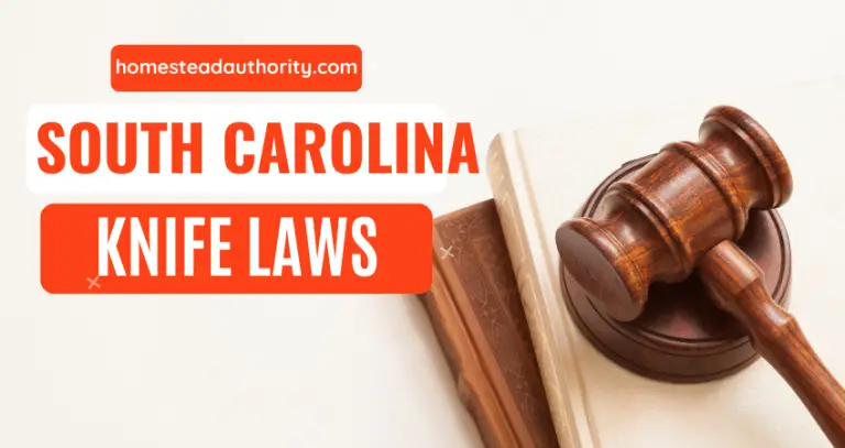 South Carolina Knife Law 101: Everything You Need to Know