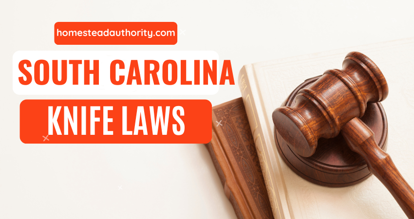 South Carolina Knife Laws