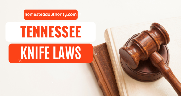 Tennessee Knife Laws 101: A Comprehensive Guide