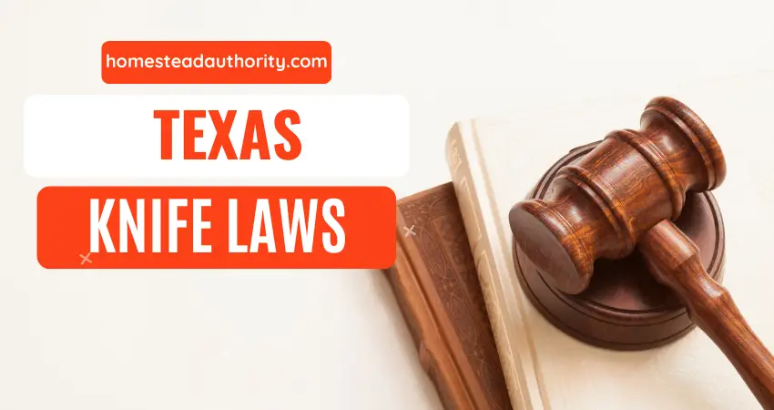 Texas Knife Laws