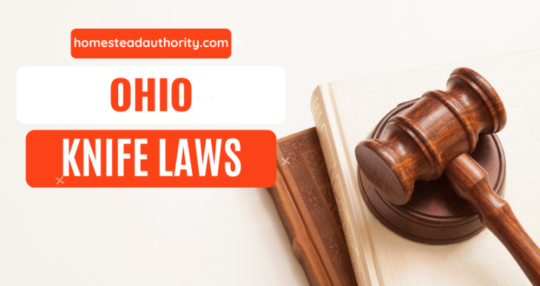 Ohio Knife Laws 101: A Comprehensive Guide