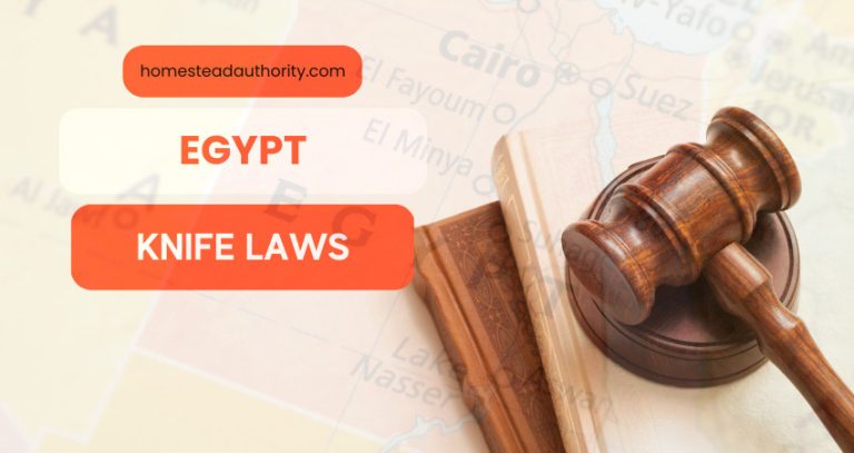 Knife Laws In Egypt: Everything You Need to Know