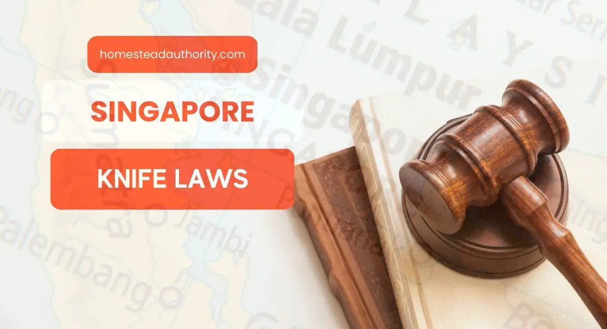 Singapur Knife Laws