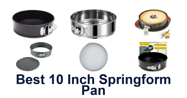 best 10 inch springform pan