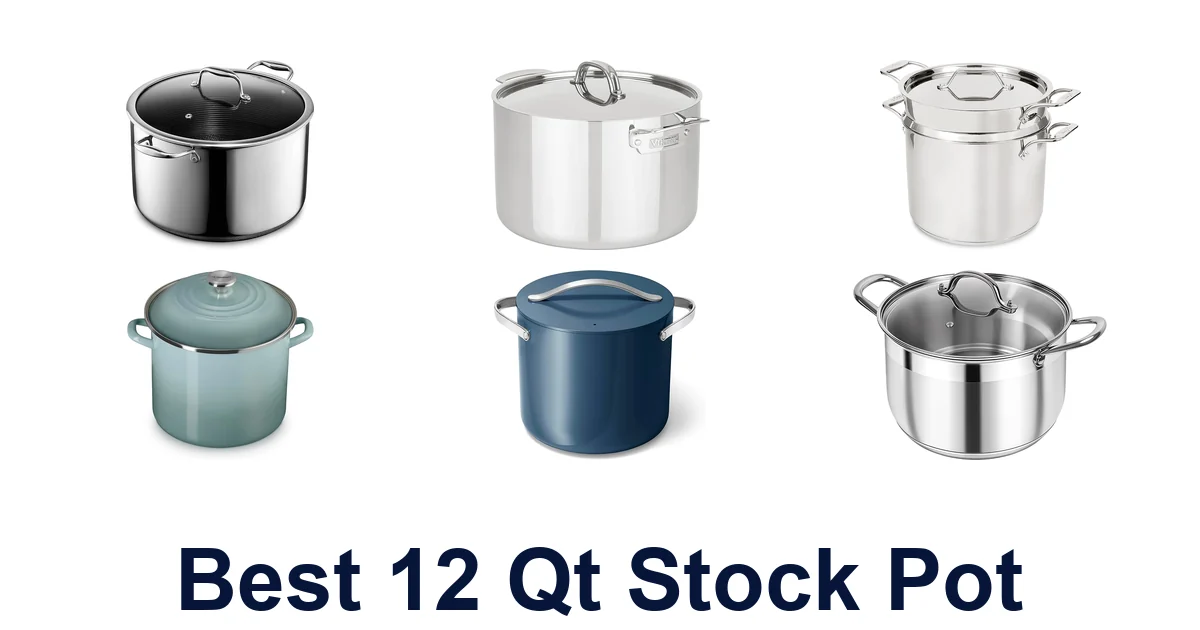 best 12 qt stock pot