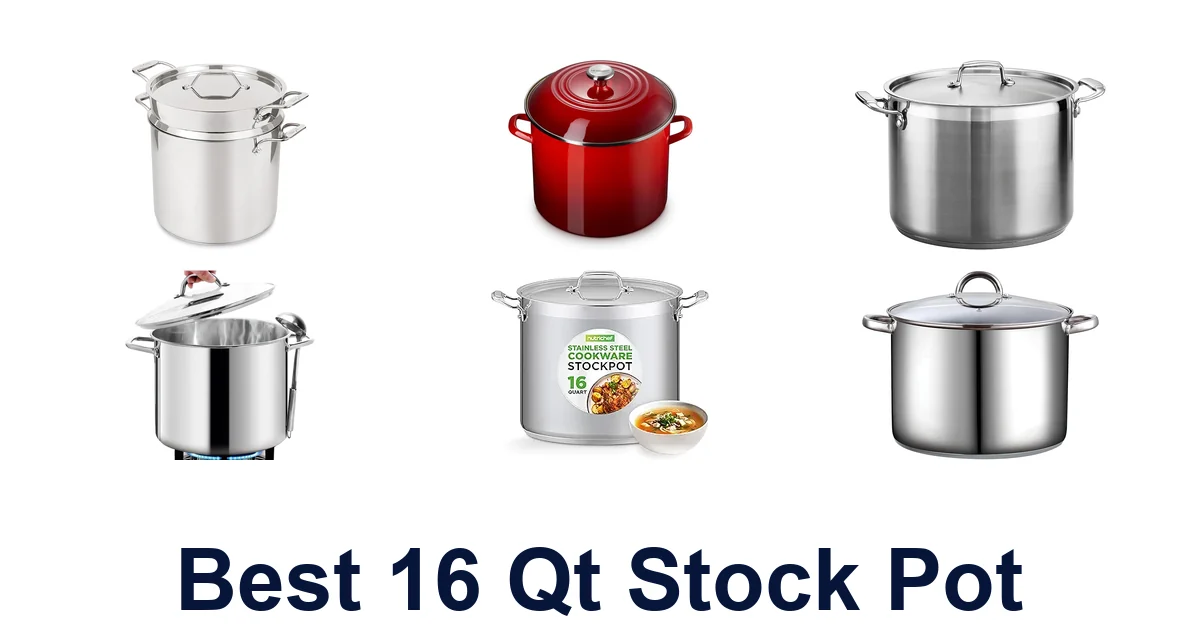 best 16 qt stock pot