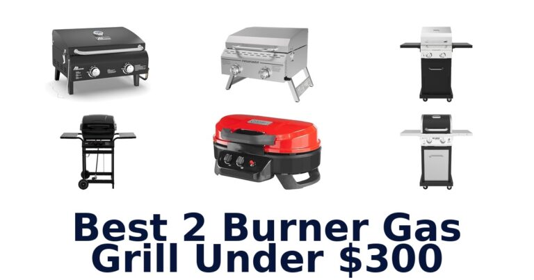 best 2 burner gas grill under $300