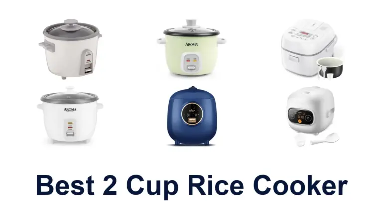 best 2 cup rice cooker