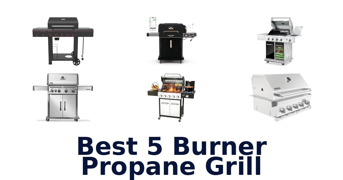 best 5 burner propane grill