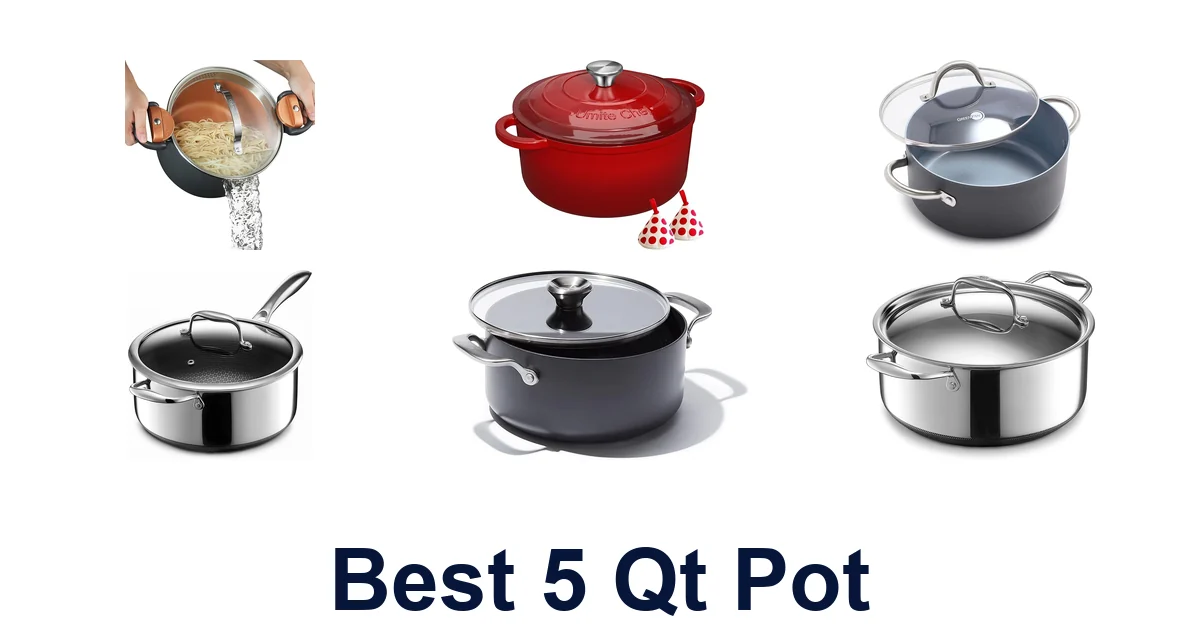 best 5 qt pot