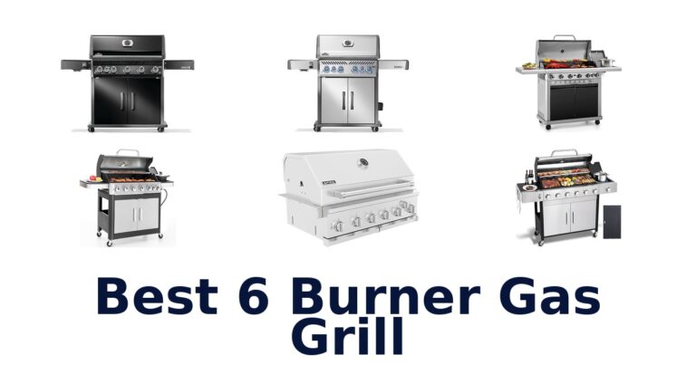 best 6 burner gas grill