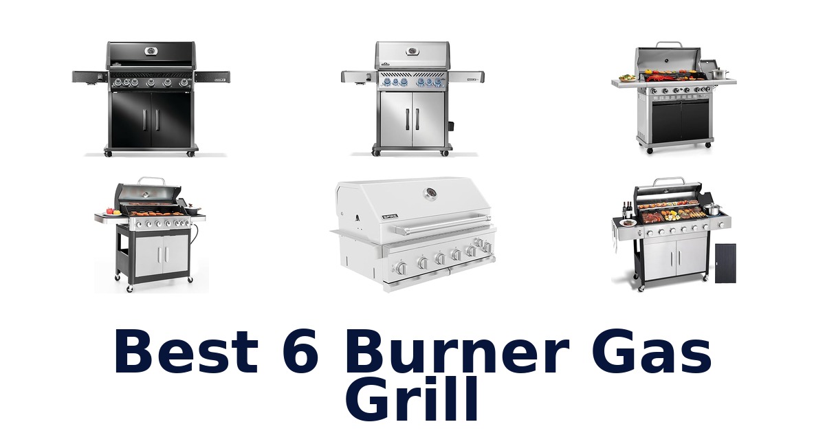 best 6 burner gas grill