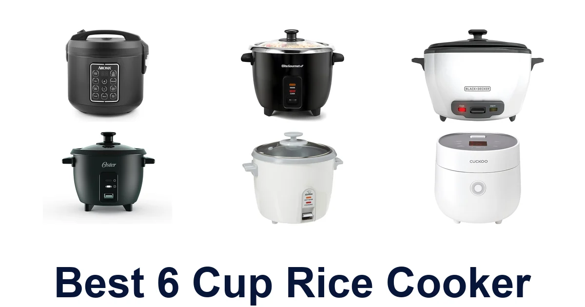 best 6 cup rice cooker