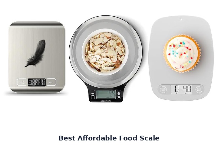 best affordable food scale