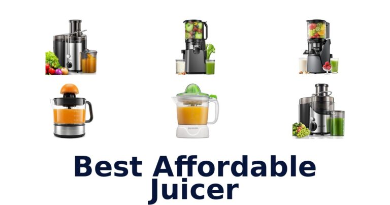 best affordable juicer