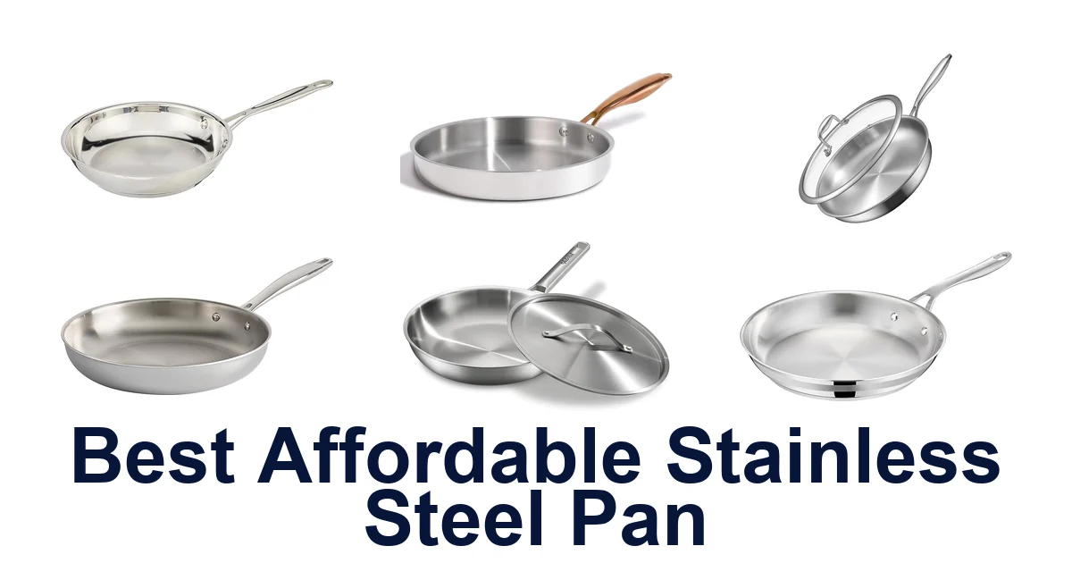 best affordable stainless steel pan