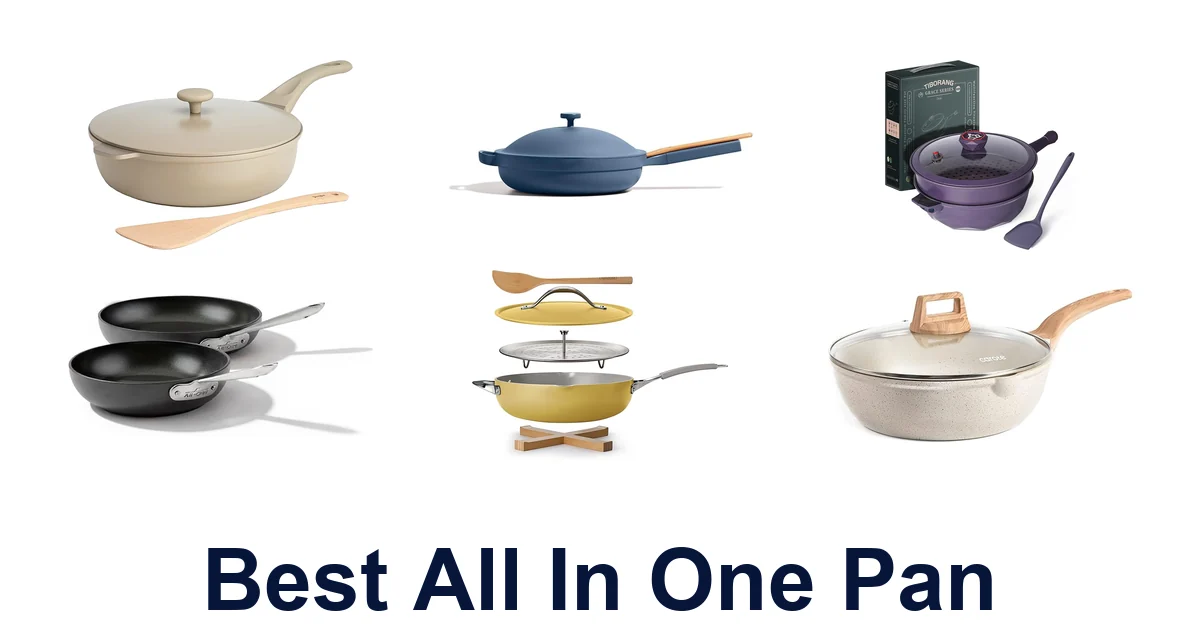 best all in one pan