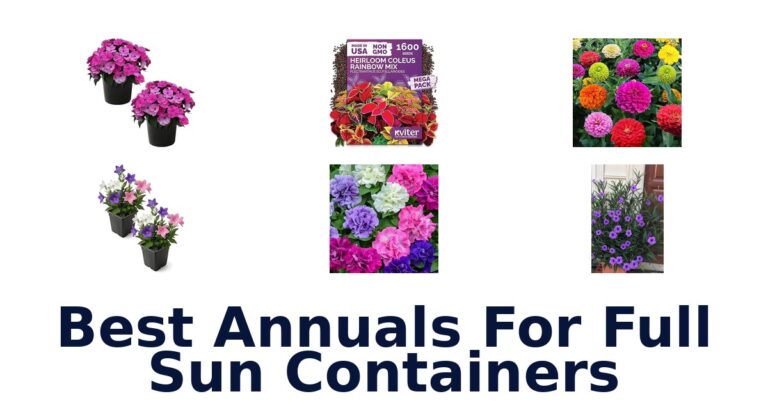 best annuals for full sun containers