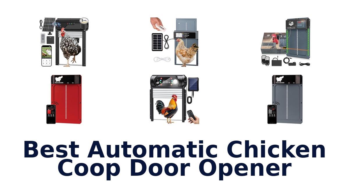 best automatic chicken coop door opener