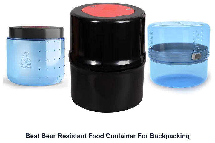 Best Bear Resistant Food Container For Backpacking