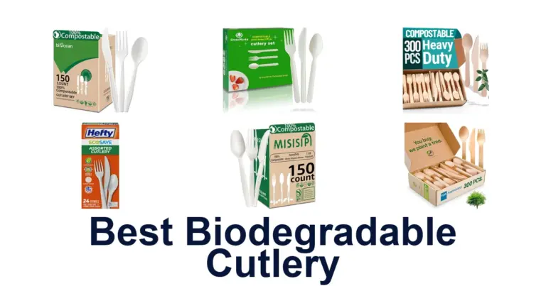 best biodegradable cutlery