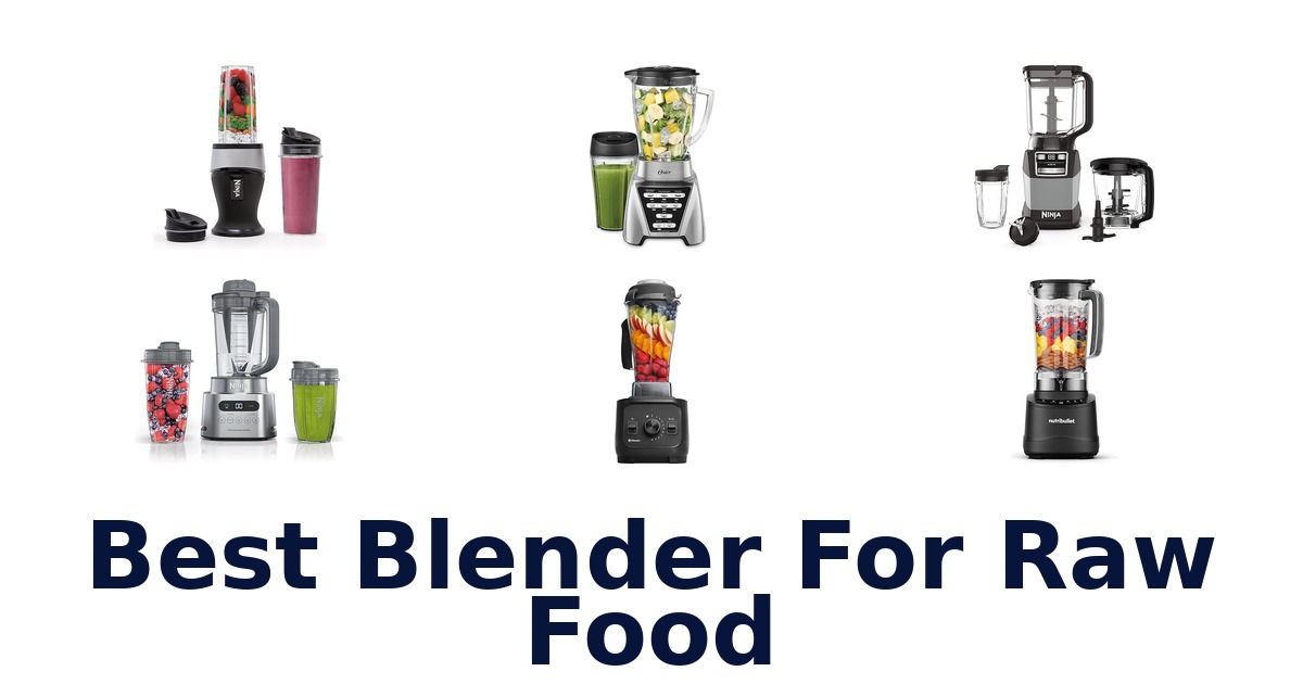 best blender for raw food