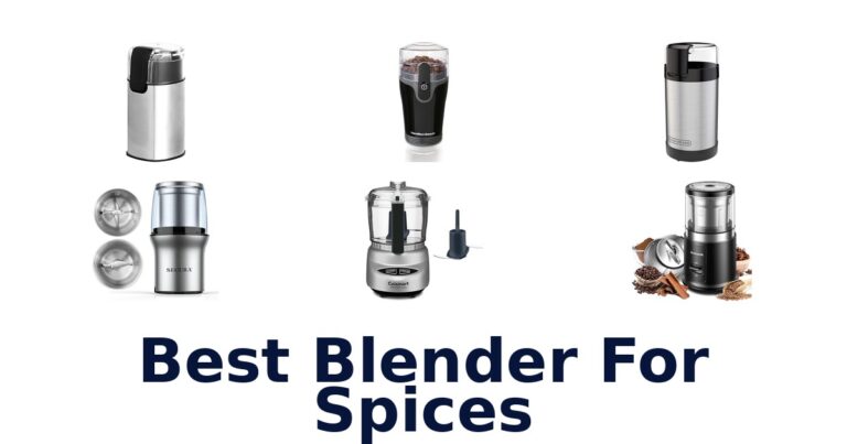best blender for spices