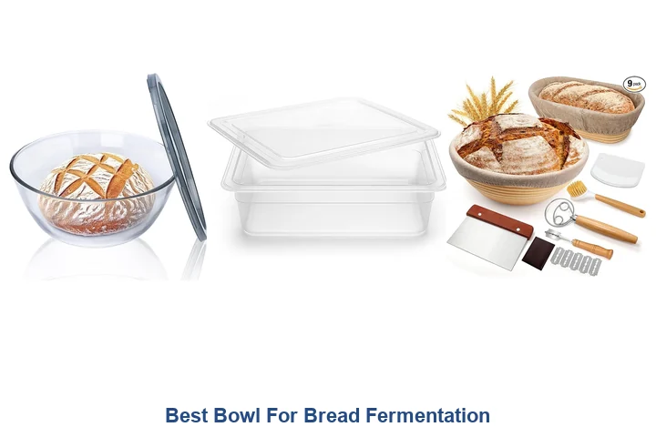 Best Bowl For Bread Fermentation