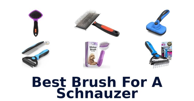 best brush for a schnauzer