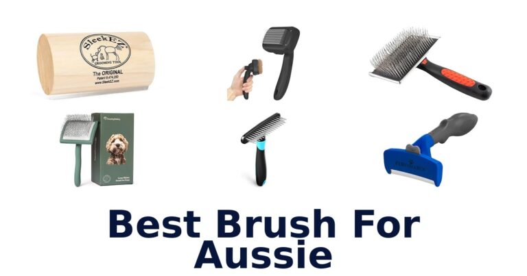 best brush for aussie