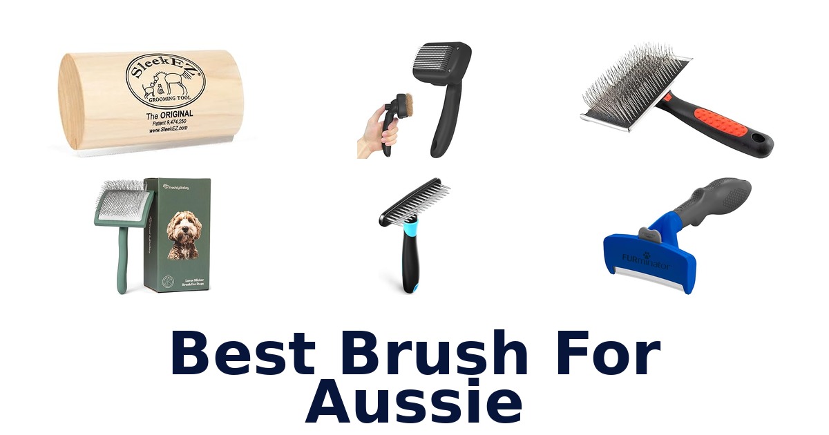 best brush for aussie