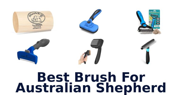 best brush for australian shepherd
