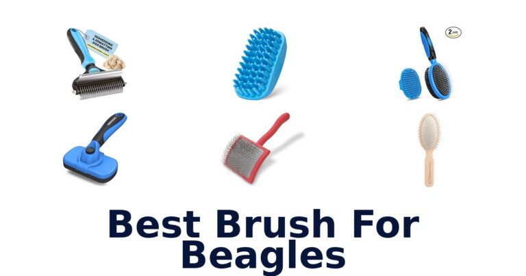 best brush for beagles