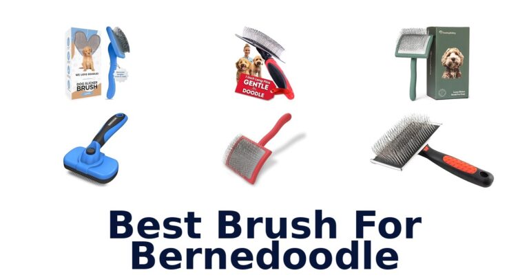 best brush for bernedoodle