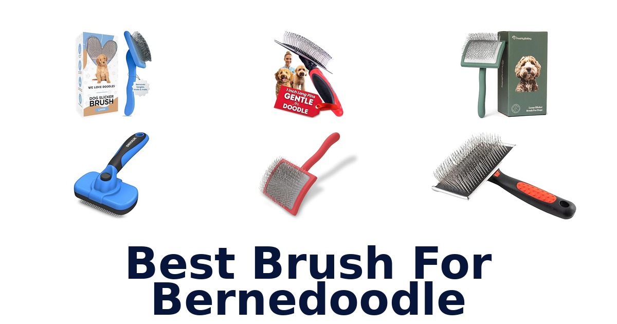 best brush for bernedoodle