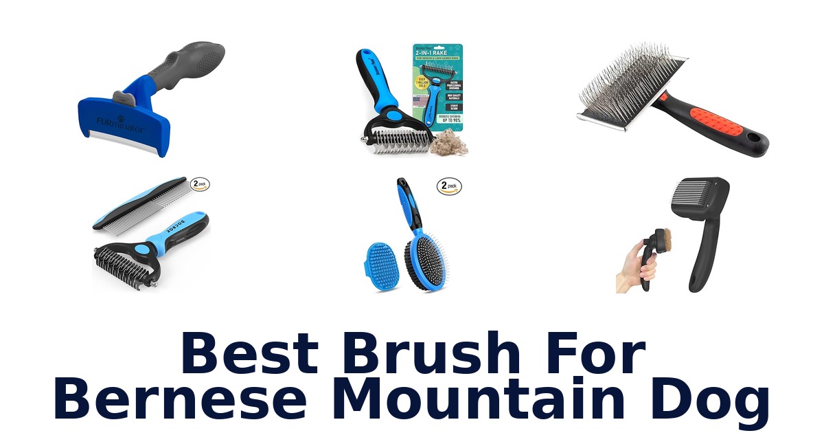 best brush for bernese mountain dog