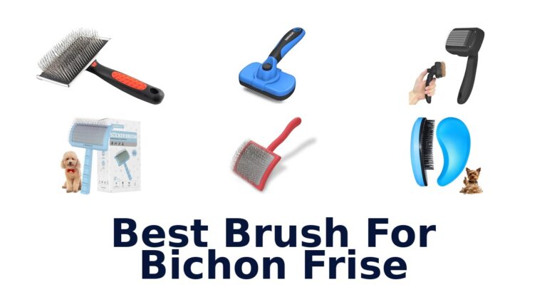 best brush for bichon frise
