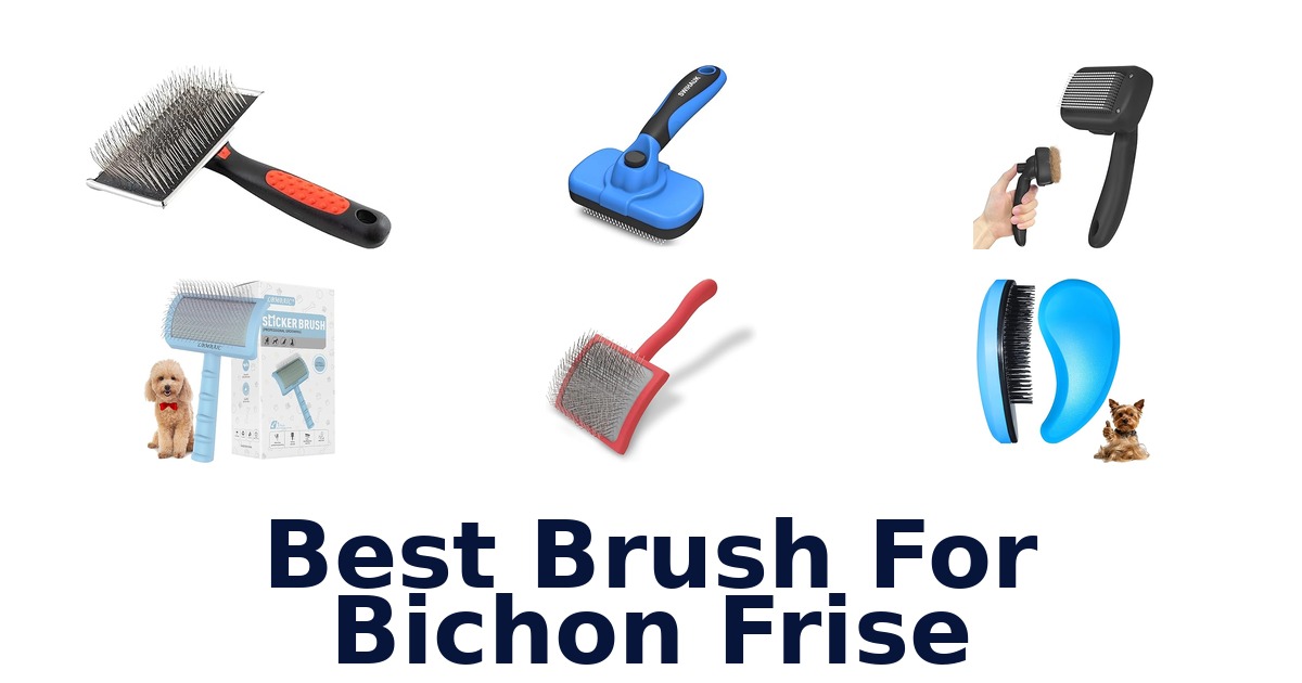 best brush for bichon frise